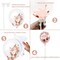Rose Gold Cake Topper Decoration Set - Includes Happy Birthday Candles, Banner, Confetti Balloons, and Paper Fans for Rose Gold Theme Party Decor for Girls and Women’s Birthday Parties